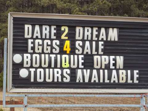 Dare 2 Dream Alpaca Farm & Sandy Loam Produce Dare 2 Dream Alpaca Farm & Sandy Loam Produce